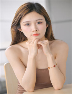 《大唐女将樊梨花电视剧》