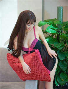 《金马战士动画》