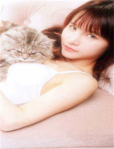 《猫鼠游戏 电影》
